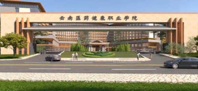 云南医药健康职业学院（专科）